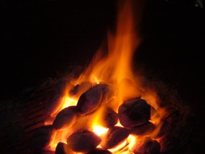 Coal_and_Fire[1]